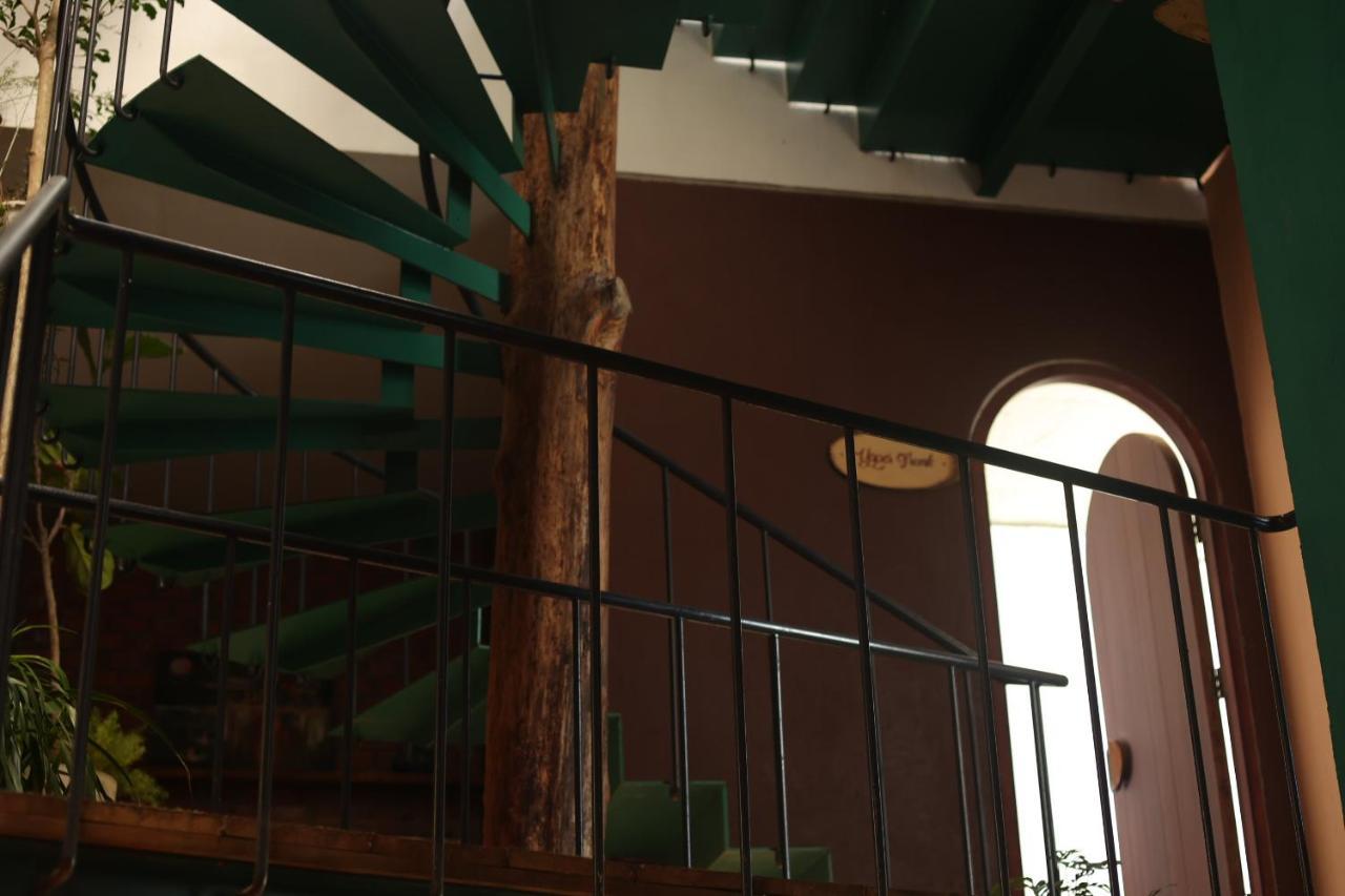 Cherry Suites Dalat Екстериор снимка