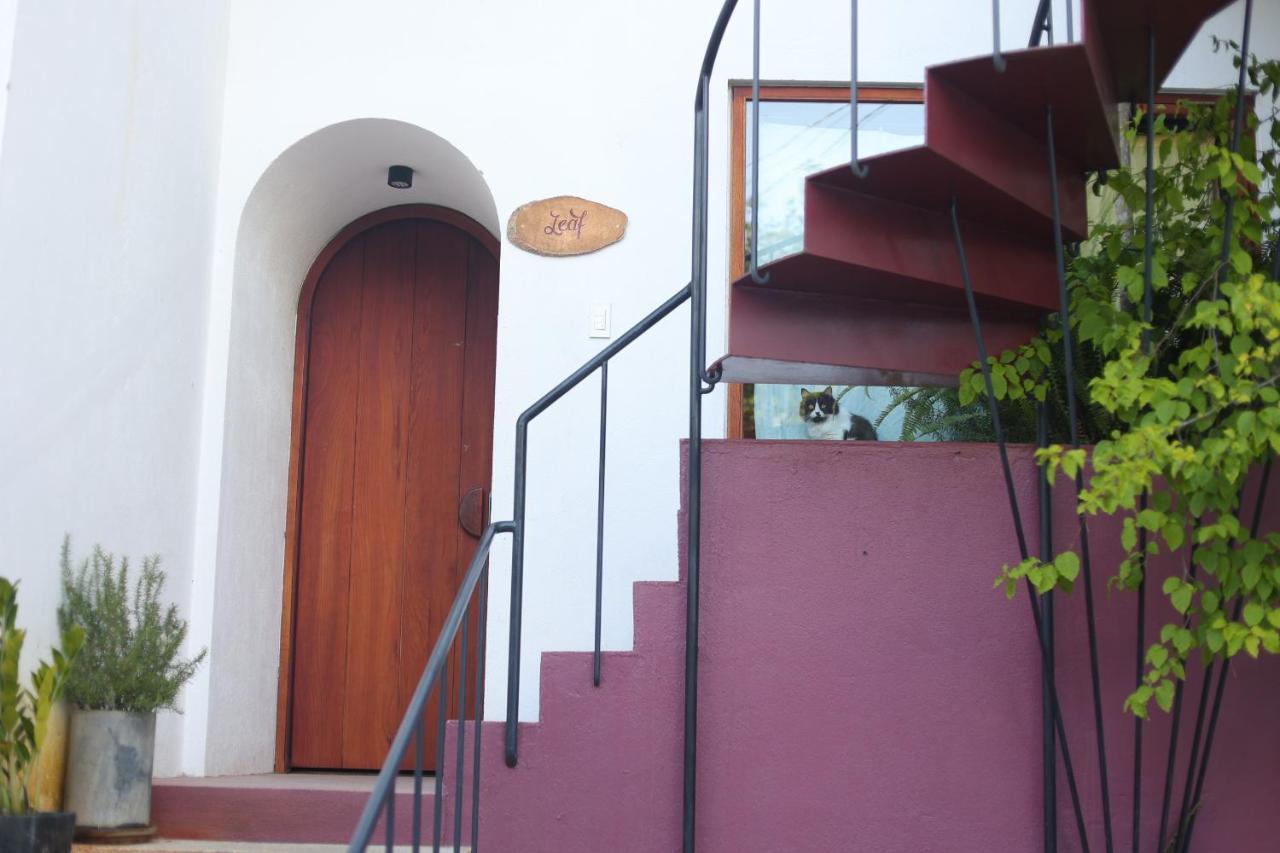 Cherry Suites Dalat Екстериор снимка